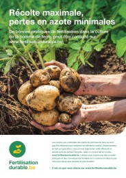 fertilisation-durable-des-pommes-de-terre--plus-de-rendement-et-moins-de-pertes