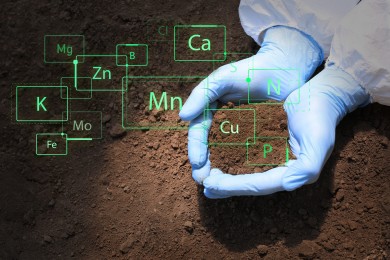 symposium-een-geintegreerde-aanpak-van-efficient-nutrientengebruik-in-plantaardige-productie-19-nov